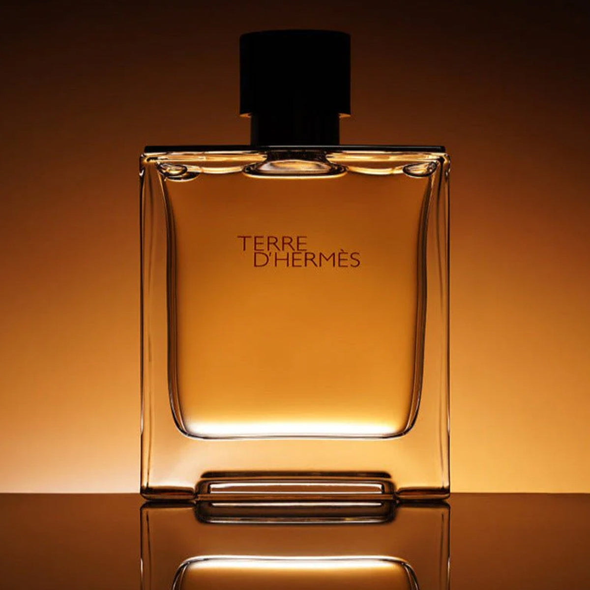 Terre d'Hermès Hermès for men