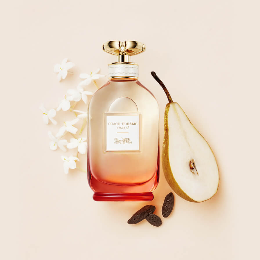 Coach Dreams Sunset Coach for women