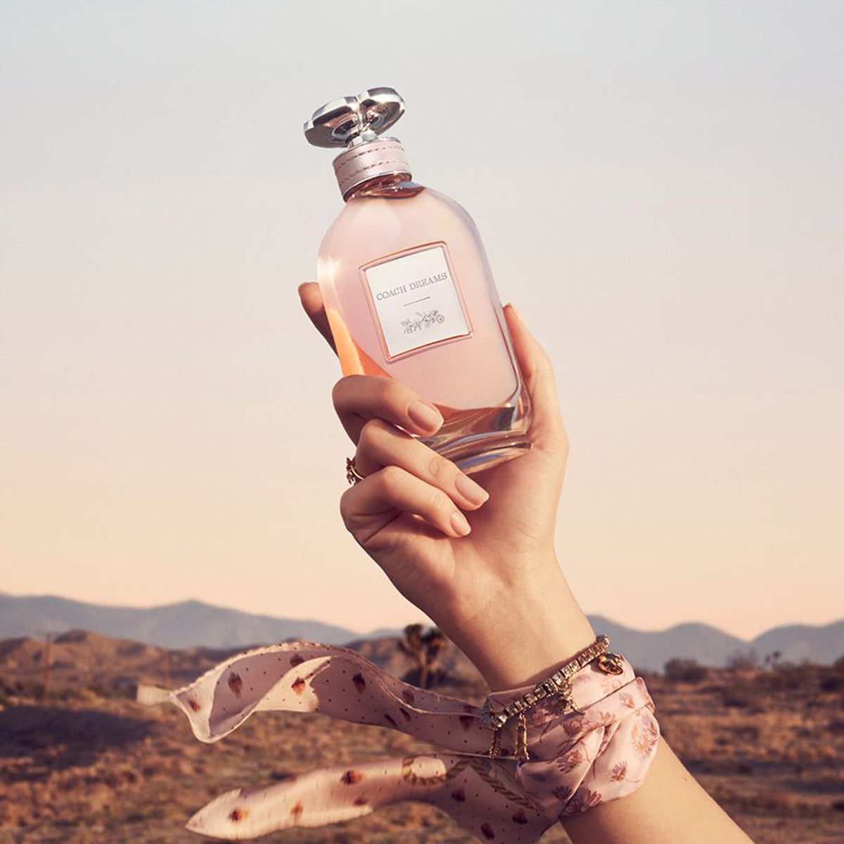 Coach Dreams Coach for women